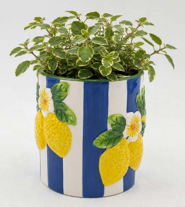 LEMONCELLO PLANTER POT