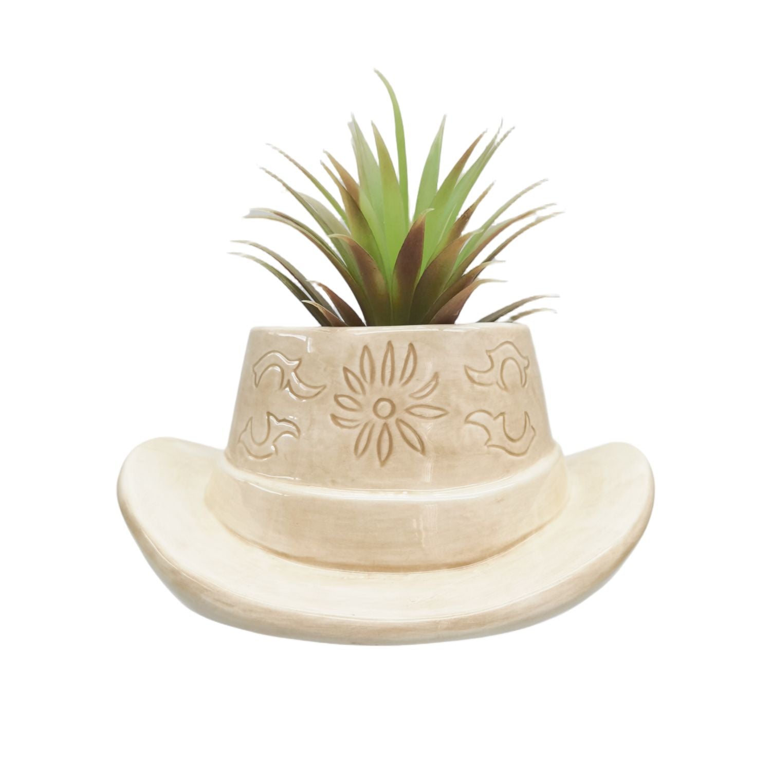 COWBOY HAT PLANTER – Sydney's Plant Market