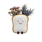 TEDDY TOAST FRIENDS POT PLANTER