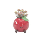 ANNIE APPLE FRIENDS PLANTER POT