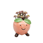 PINKY PEACH FRIENDS PLANTER