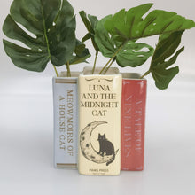 Load image into Gallery viewer, CAT THEMED BOOKS PLANTER POT
