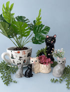 CAT SHAPED S&P SHAKER SET