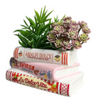 LA DOLCE VITA COOKBOOK PLANTER POT