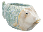 REEF FISH PLANTER