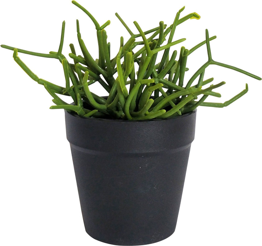 PENCIL CACTUS PLANT ARTIFICIAL
