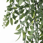 ARTIFICIAL WATTLE HANGING BUSH 82CM Sydney's Plant Market