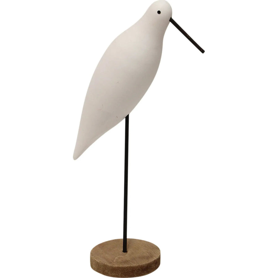 Sea Bird White Med Sydney's Plant Market