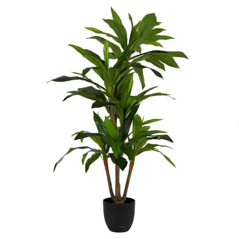 DRACEANA 130CM REAL TOUCH W POT 15X17CM Sydney's Plant Market