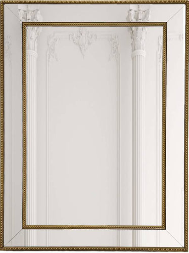 TRADITIONAL MIRROR Sydney's Plant Market