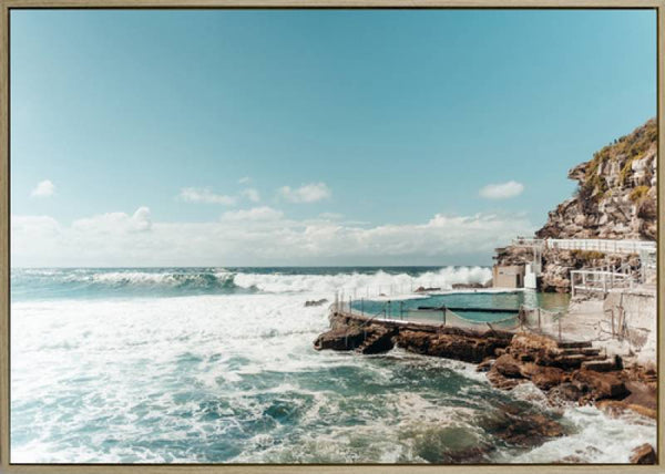 Bronte Rock Pool Canvas Sydney's Plant Market