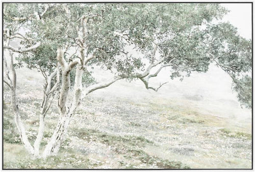 TERRY TREE CANVAS Sydney's Plant Market