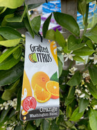 Orange Citrus Washington Navel Sydney's Plant Market