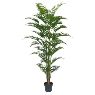 FERN PALM REAL TOUCH 180CM W POT 20X17CM