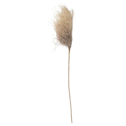 FAUX REED GRASS SPRAY 80CM ALMOND Sydney's Plant Market