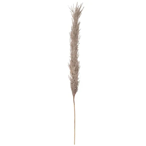 FAUX PAMPAS SPRAY 100CM FAWN Sydney's Plant Market