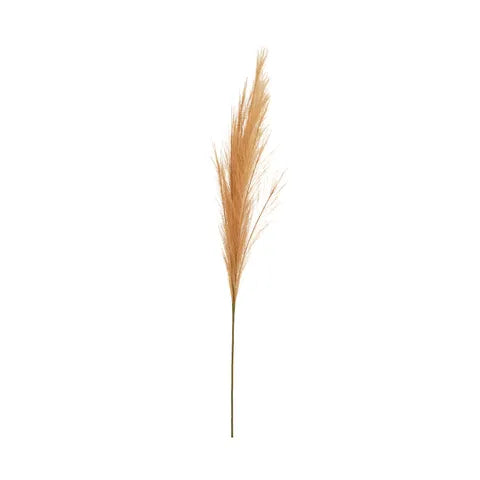 FAUX PAMPAS GRASS 100CM LATTE Sydney's Plant Market