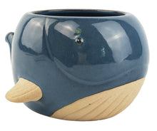 Load image into Gallery viewer, Whale Planter Blue Large 9cm
