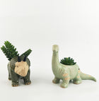 Dinosaur Planter Dark Green 11cm - Sydney's Plant Market