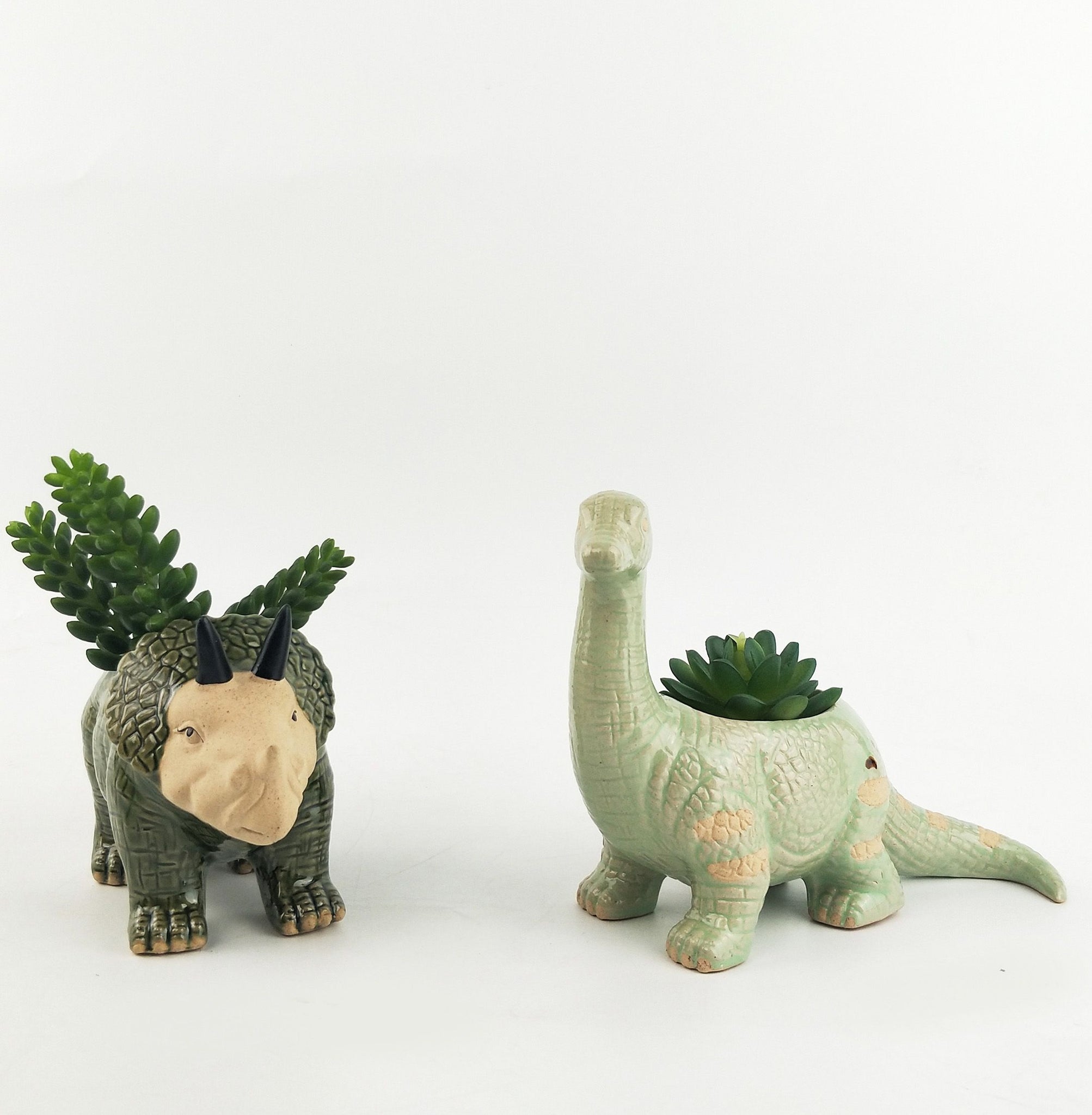 plastic dinosaur planter DINOSAUR PLANTER POT – Sydney's Plant Market