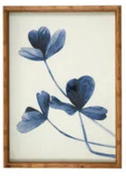 BLEU FRAME GLASS PRINT 40X55CM 4 ASST Sydney's Plant Market