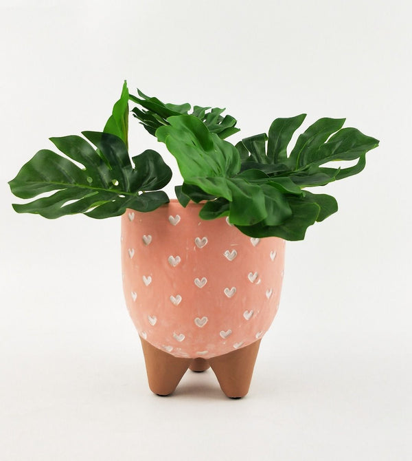 CASSIE PLANTER - Sydney's Plant Market