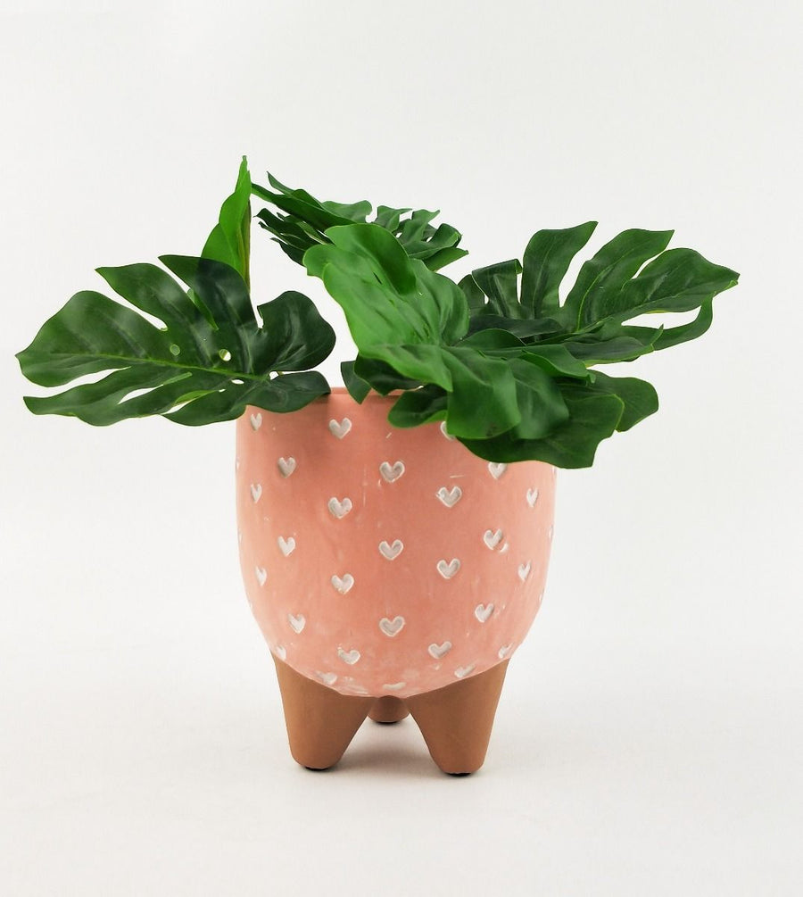 CASSIE PLANTER - Sydney's Plant Market
