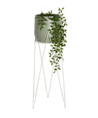 Corby Metal Pot Stand - White - Sydney's Plant Market