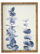 BLEU FRAME GLASS PRINT 40X55CM 4 ASST Sydney's Plant Market