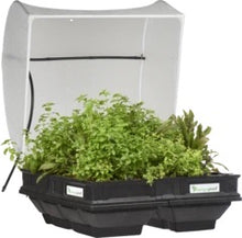 Load image into Gallery viewer, Vegepod raised garden bed with vege cover

