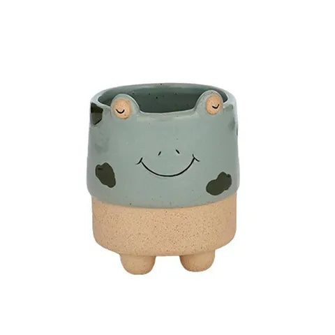 Kermit Frog Ceramic Pot