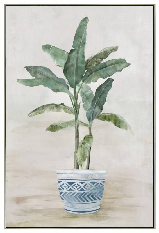 Plant In Pot Canvas A - Sydney's Plant Market