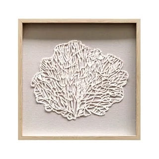 Cambria Coral Wall Art 60 x 60 natural white - Sydney's Plant Market