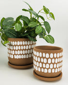Tessa Dot Planter with Saucer Mocha - Sydney's Plant Market