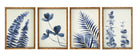 BLEU FRAME GLASS PRINT 40X55CM 4 ASST Sydney's Plant Market