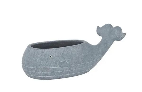 MOBY WHALE PLANTER - Sydney's Plant Market