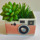 Retro Camera Planter Pink H6x10cm Sydney's Plant Market