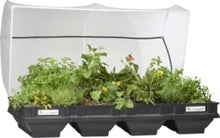 Load image into Gallery viewer, Vegepod raised garden bed with vege cover
