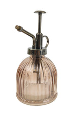Tommy Glass Mist Spray Steel 16cm Sydney's Plant Market