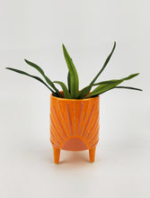 Load image into Gallery viewer, Sunshine Planter with Legs Orange
