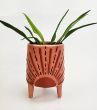 Load image into Gallery viewer, Sunshine Planter with Legs Pink
